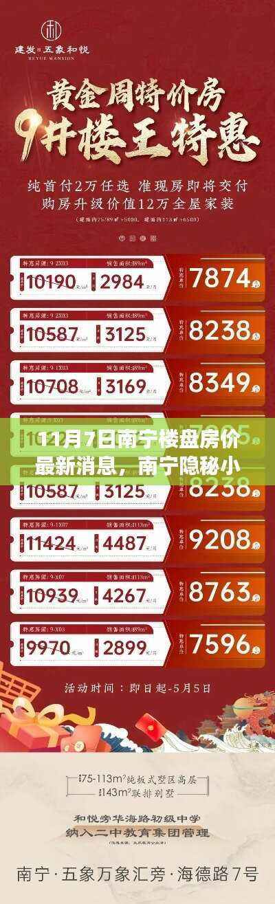 南宁楼盘房价最新动态与隐秘小巷宝藏小店探秘之旅(11月7日更新)