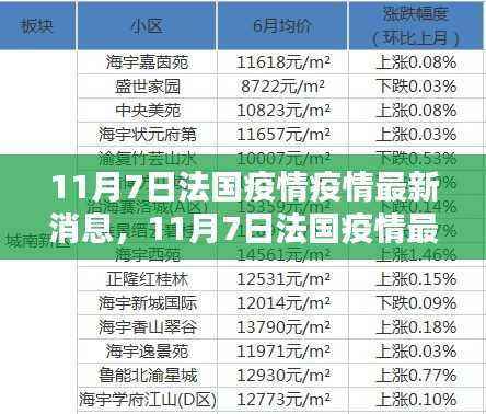 法国疫情最新动态,全面评测与介绍(11月7日更新)