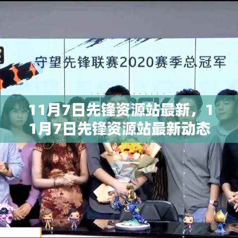 11月7日先锋资源站最新动态,多维度观点探析