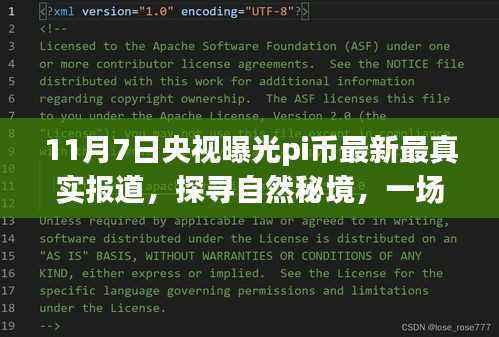央视揭秘Pi币,探寻自然秘境的意外旅行之旅