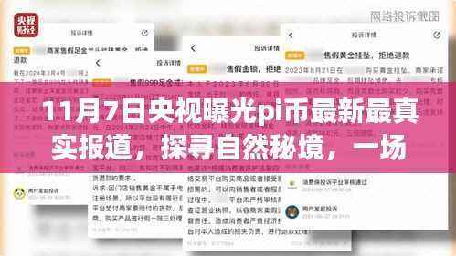 央视揭秘Pi币,探寻自然秘境的意外旅行之旅