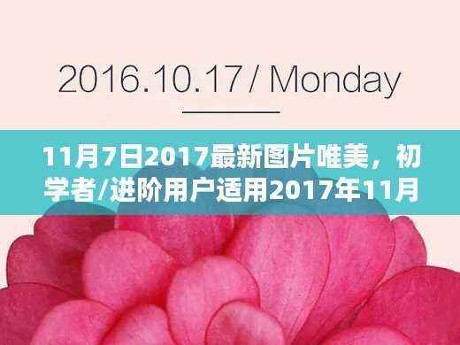 初学者与进阶用户适用的2017年最新图片唯美制作指南(11月7日版)