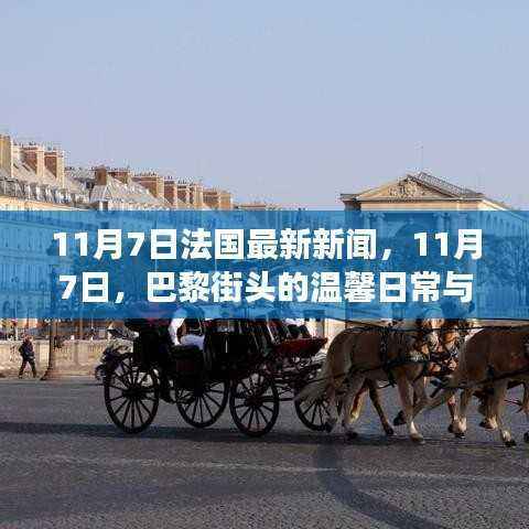 巴黎街头温馨日常与奇妙友情故事——法国最新新闻11月7日