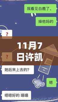 揭秘许凯最新动态,11月7日图片更新与热议焦点
