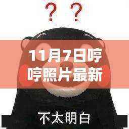 探秘小巷深处的秘密花园,哼哼照片最新特色小店揭秘