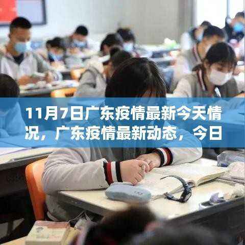 广东疫情最新动态深度观察,11月7日深度分析与影响