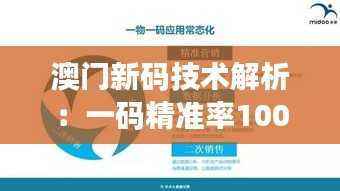 澳门新码技术解析:一码精准率100%,安全策略深度剖析——SOQ713.99优先版