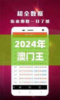 2024年澳门王中王100,综合数据说明_娱乐版XDF306.13