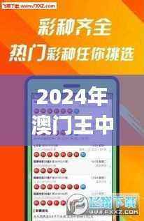 2024年澳门王中王100,综合数据说明_娱乐版XDF306.13