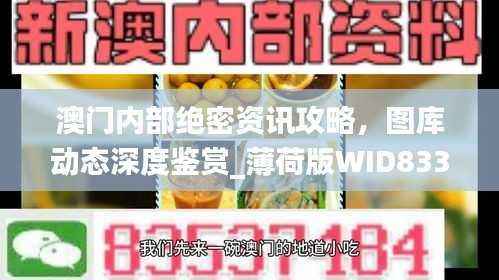 澳门内部绝密资讯攻略,图库动态深度鉴赏_薄荷版WID833