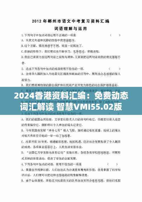 2024香港资料汇编:免费动态词汇解读 智慧VMI55.02版
