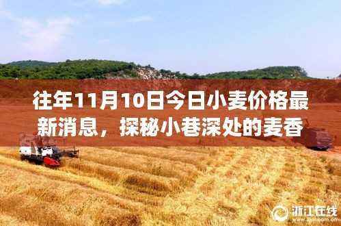 探秘小巷深处的麦香秘境,揭秘小麦价格背后的故事——最新小麦价格行情分析(日期,往年11月10日)