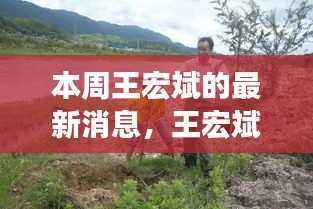 王宏斌本周揭秘，自然美景中的心灵之旅与内心平和的寻找