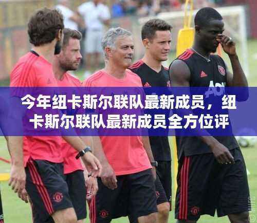 纽卡斯尔联队最新成员加盟,全方位评测与介绍