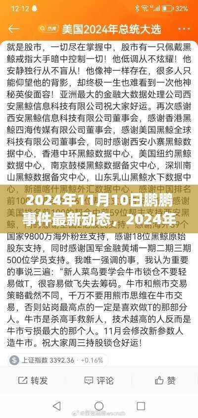 鹏鹏事件最新动态，揭秘真相与进展