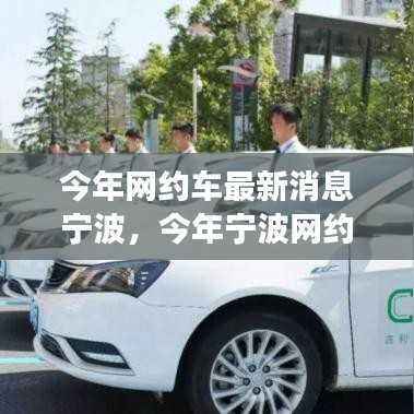 今年宁波网约车市场的新动态与趋势分析,最新消息解读