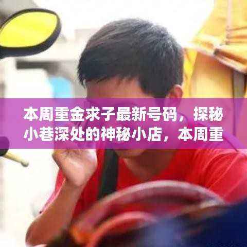 探秘神秘小店,本周重金求子最新号码的独特魅力揭晓