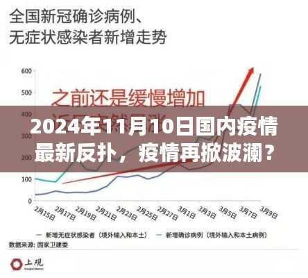 2024年11月10日国内最新疫情反扑深度解析,疫情再掀波澜?