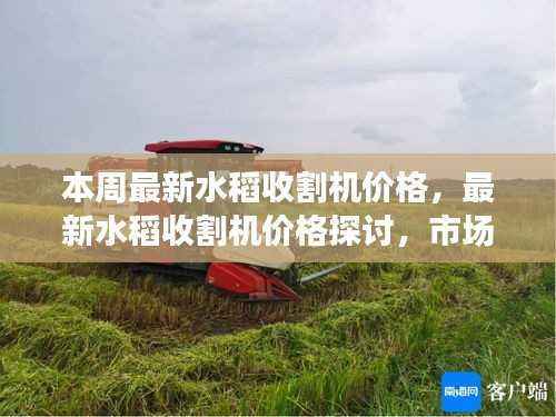 最新水稻收割机价格概览,市场走势、个人立场分析与探讨