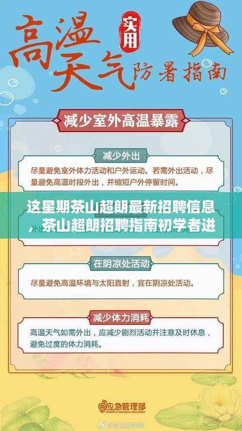 茶山超朗最新招聘信息揭秘,初学者招聘指南与把握最新信息的技巧