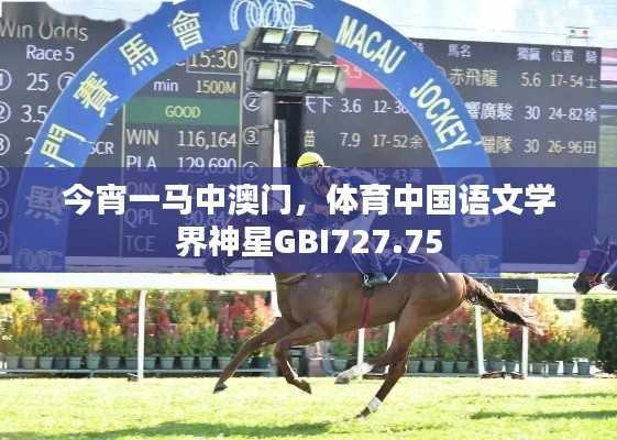 走马观花 第35页