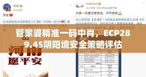 管家婆精准一码中肖,ECP289.45阴阳境安全策略评估