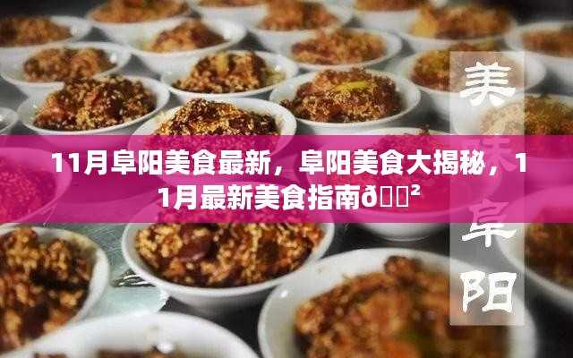 11月阜阳美食大揭秘,最新美食指南🍲