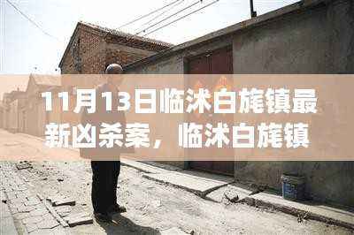 临沭白旄镇最新凶杀案揭秘,11月13日事件真相大揭秘