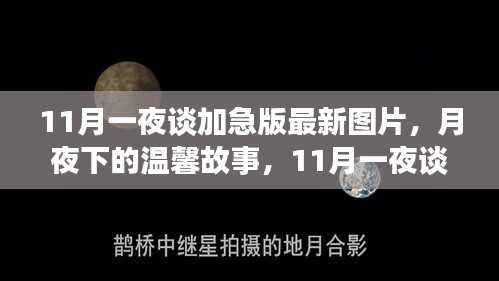 月夜下的温馨故事,最新加急版图片揭秘11月一夜谈新友之夜