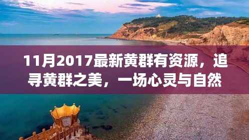 追寻黄群之美,心灵与自然共舞之旅(最新资源分享)