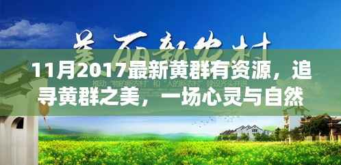 追寻黄群之美,心灵与自然共舞之旅(最新资源分享)