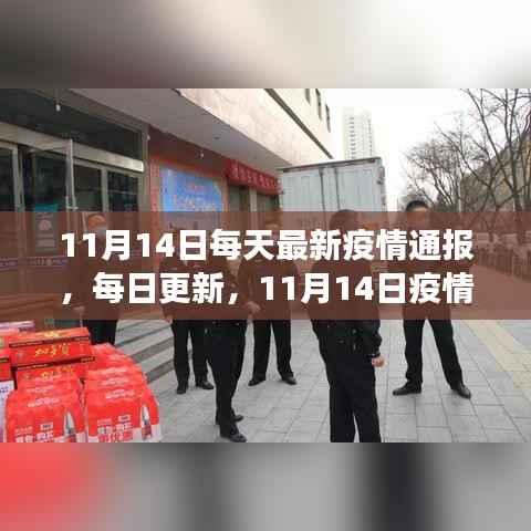 11月14日疫情最新动态,每日更新,共克时艰时刻