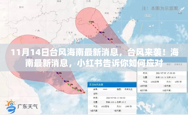 小红书揭秘,台风来袭海南如何应对,最新消息动态更新!