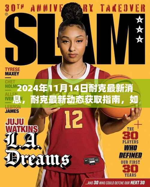 2024年11月14日耐克最新动态获取指南,轻松掌握最新消息