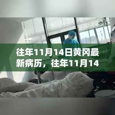 往年11月14日黄冈病历详解,特性、体验、竞品对比及用户分析