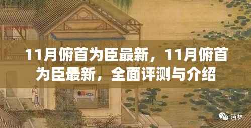 全面评测与介绍,最新11月俯首为臣