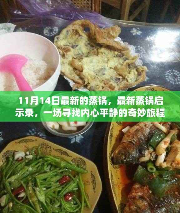 最新蒸锅启示录,寻找内心平静的奇妙旅程