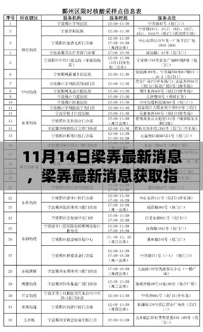梁弄最新消息获取指南,掌握关键信息的步骤与指南(11月14日更新)