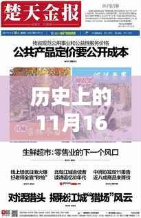 历史上的驼冰新篇章,揭秘驼冰的变迁与最新发展(11月16日篇)