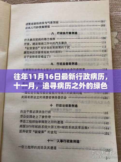追寻病历之外的绿色奇迹,历年11月16日最新行政病历揭秘