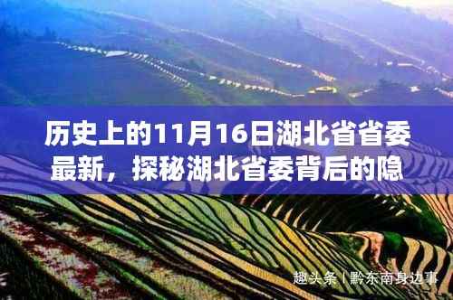 湖北省委背后的隐藏宝藏,特色小巷探秘之旅(最新更新)