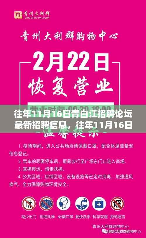往年11月16日青白江招聘论坛最新招聘信息解析与评测