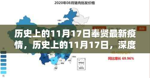 历史上的11月17日奉贤疫情深度解析与影响分析