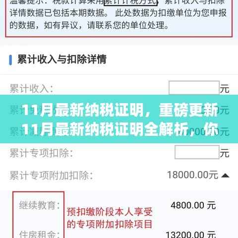 11月最新纳税证明全解析,纳税记录一目了然