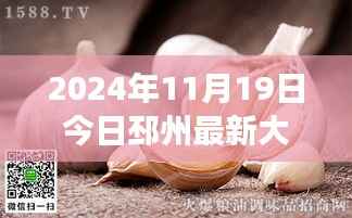 邳州大蒜价格动态,跟随自然美景与内心宁静的奇妙旅程