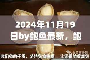 鲍鱼揭秘,未来日期2024年11月19日的三大要点深度解析