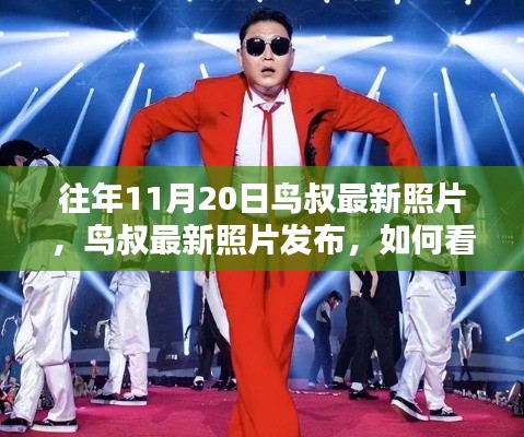 鸟叔最新照片发布,影响力与公众关注度的深度解析