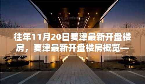 往年11月20日夏津最新楼盘开盘信息一览,全面概览新楼盘动态