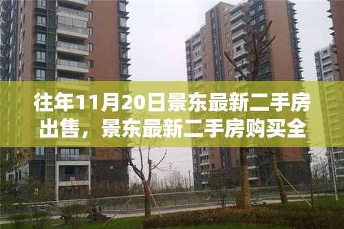 景东最新二手房购买指南,选购攻略与心仪房源的挑选技巧(11月20日前后)