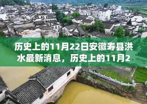 历史上的11月22日安徽寿县洪水灾害实录,最新消息与灾害回顾